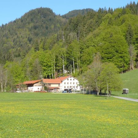 Gasthof Fallmühle Pfronten Exterior foto