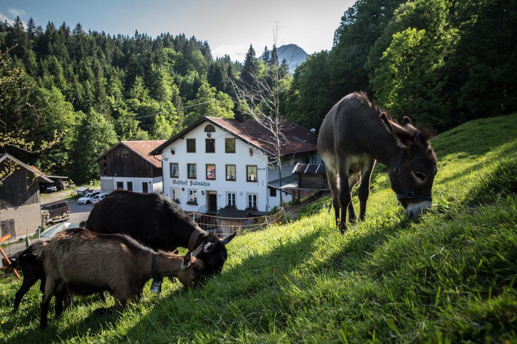 Gasthof Fallmühle Pfronten Exterior foto