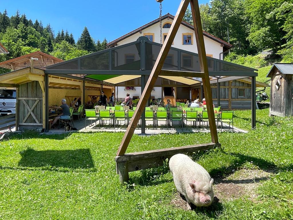 Gasthof Fallmühle Pfronten Exterior foto