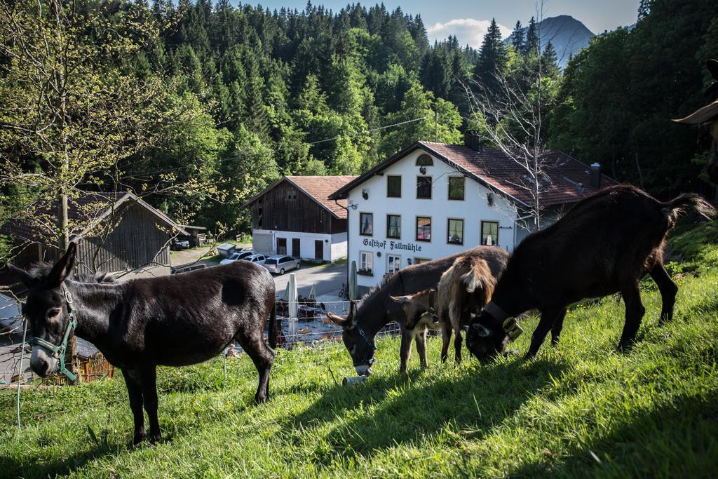 Gasthof Fallmühle Pfronten Exterior foto